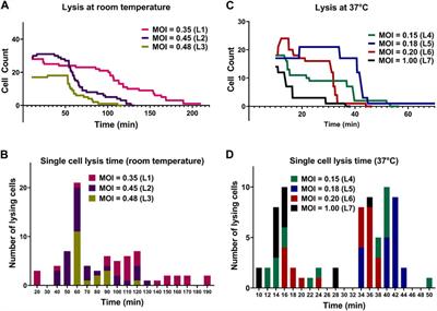 Label-free analysis of bacterial growth and lysis at the single-cell level using droplet microfluidics and object detection-oriented deep learning